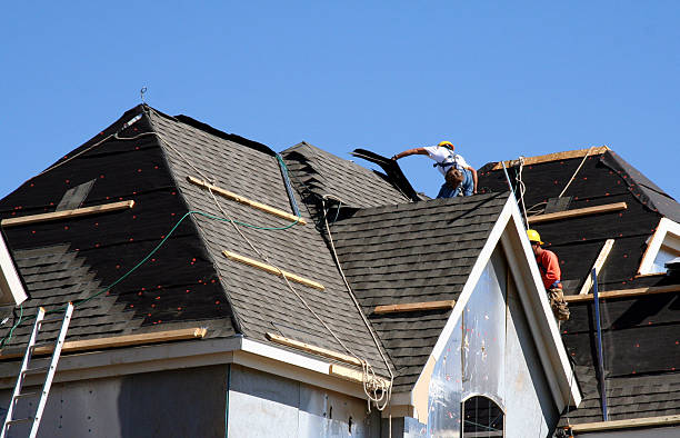 Best Roof Maintenance and Cleaning  in Harrisville, WV